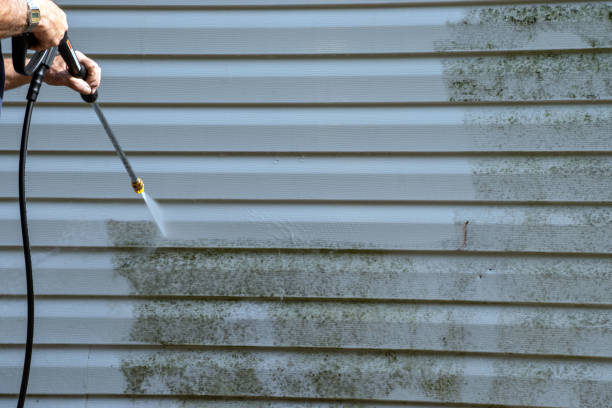 Best Composite Siding  in Lake Leann, MI