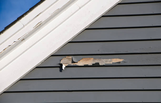 Best Siding Removal and Disposal  in Lake Leann, MI