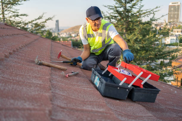 Best Fiber Cement Siding Installation  in Lake Leann, MI